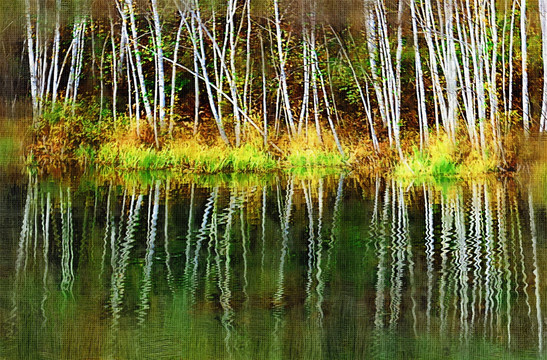 秋季池塘白桦林装饰画