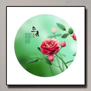 二十四節(jié)氣 立夏 玫瑰