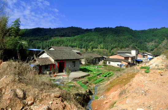 农村风景