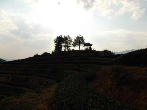 茶山夕照