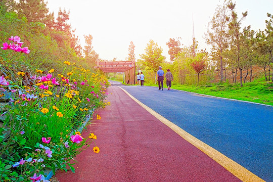 自行车专用路 景观路