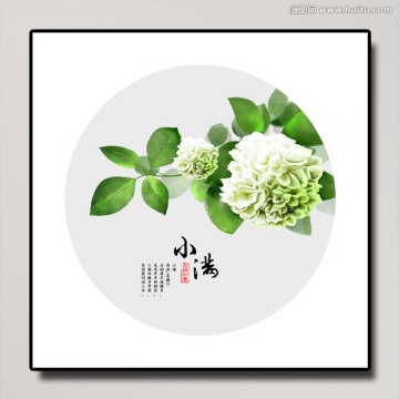 二十四節(jié)氣 小滿 繡球花