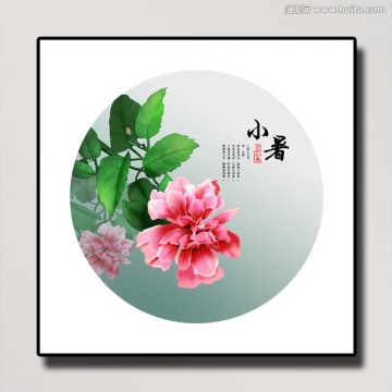 二十四節(jié)氣 小暑 木槿