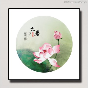 二十四節(jié)氣 大暑 荷花