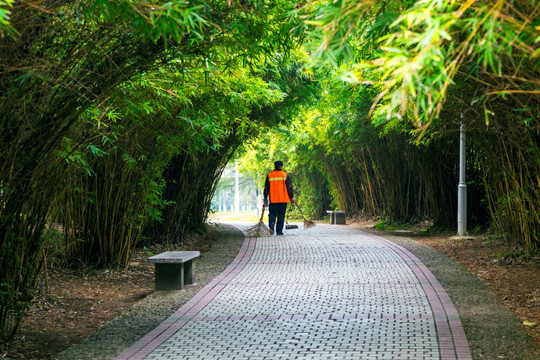 绿竹林荫道