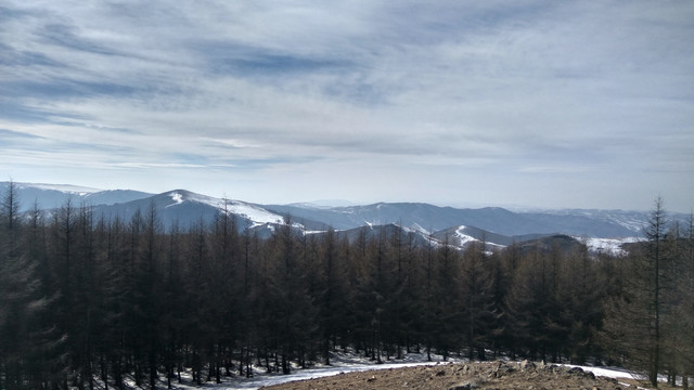 大青山，山脉，落叶松林，冬景