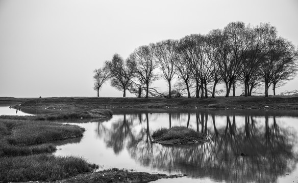 湖景