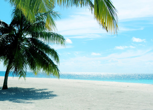马尔代夫沙滩度假蓝天白云