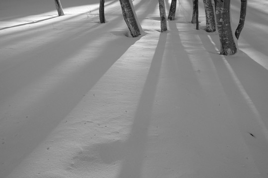 雪景