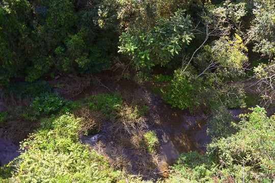 俯拍热带雨林 森林山谷河流