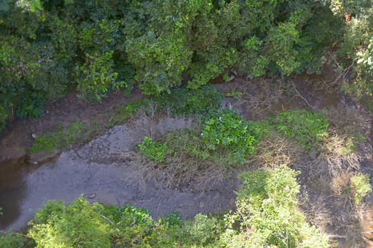 俯拍热带雨林 森林山谷河流