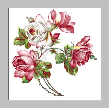 陶瓷花纸花卉玫瑰花朵分色设计