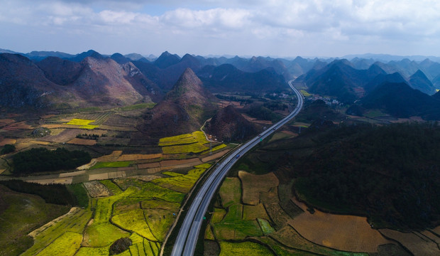 高速公路 油菜花 路