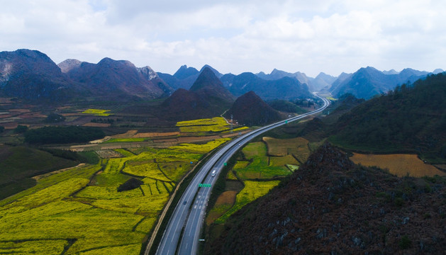 高速公路 油菜花 路