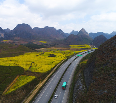 高速公路 油菜花 路