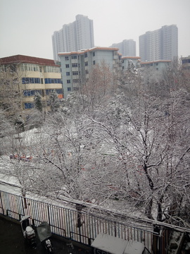 雪景 倒春寒 都市雪景