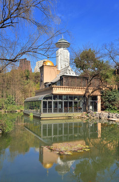 上海人民公园湖边咖啡馆