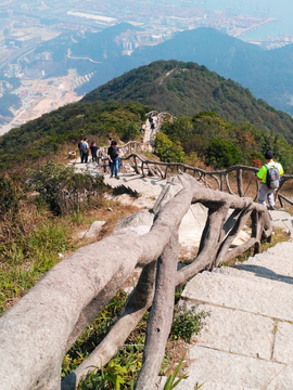 梧桐山