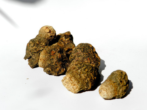 瑪咖 瑪卡片 黑瑪咖