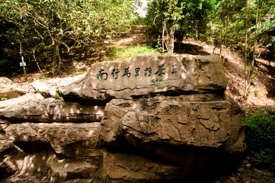 茶山 茶山王石碑