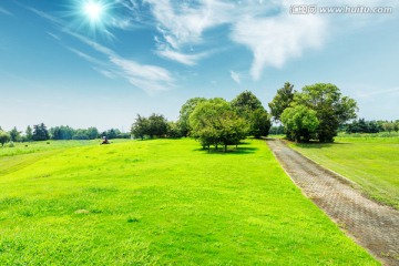 蓝天 草地