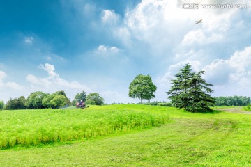 天空 草地