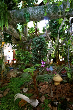 热带雨林生态模型