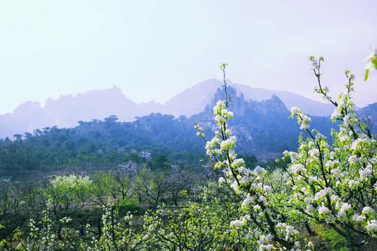 山区春色