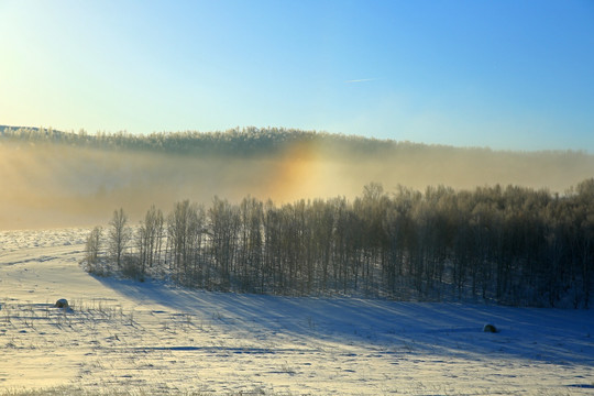 冬雪晨曦