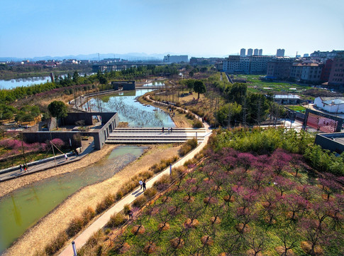 金华梅园 梅花 河流水系