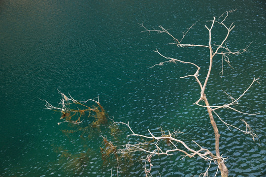 山水宝泉