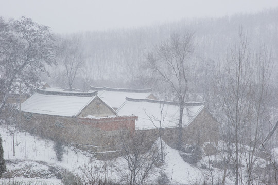 乡村雪景 竖片