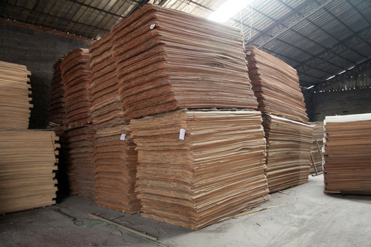 板材加工 木材厂