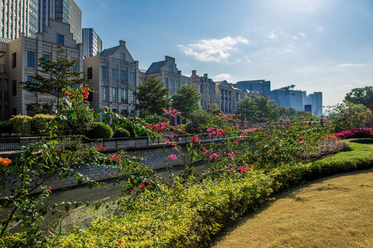 城市绿化 建筑群