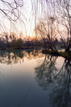 西溪湿地傍晚风光