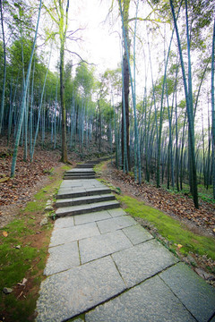 五云山登山石阶