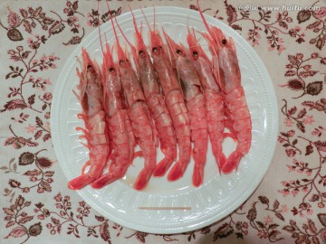 北极虾 大虾