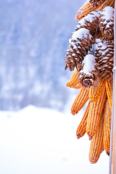 二浪河雪乡