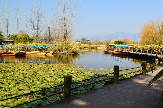 西昌 小渔村 湿地公园