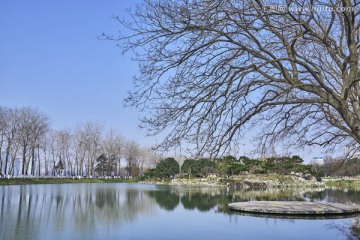 南京玄武湖