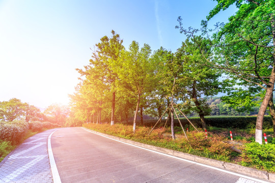 盘山公路