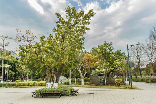 攀枝花仁和湿地风光