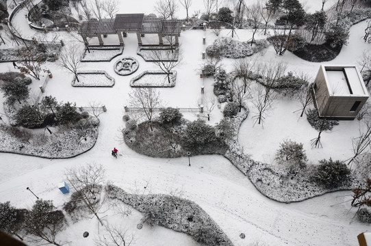 雪后园林景色