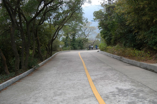 圭峰山森林公园路上美景