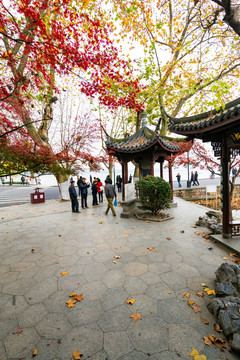 休息亭 西湖畔 杭州旅游