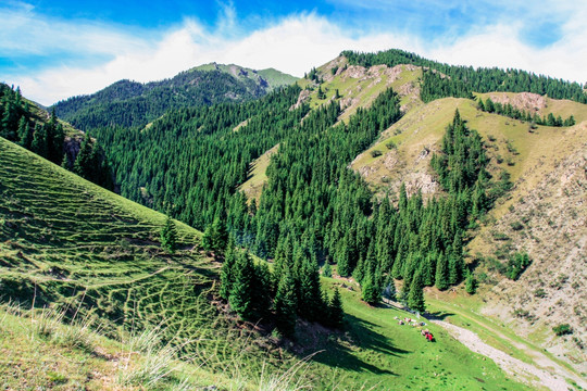 春季天山山脉