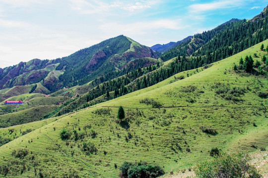 春季天山山脉