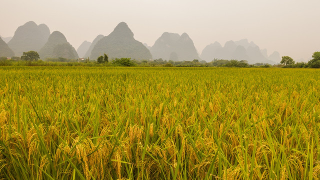 桂林风景