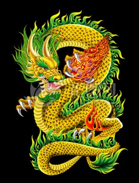 金龍