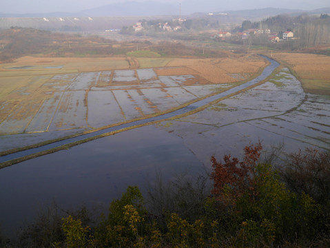 湿地